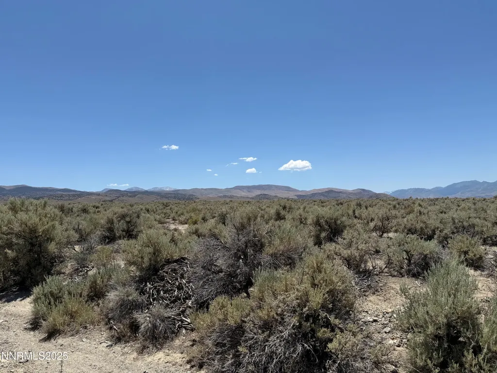Tbd Fenceline Road Gardnerville NV 89410