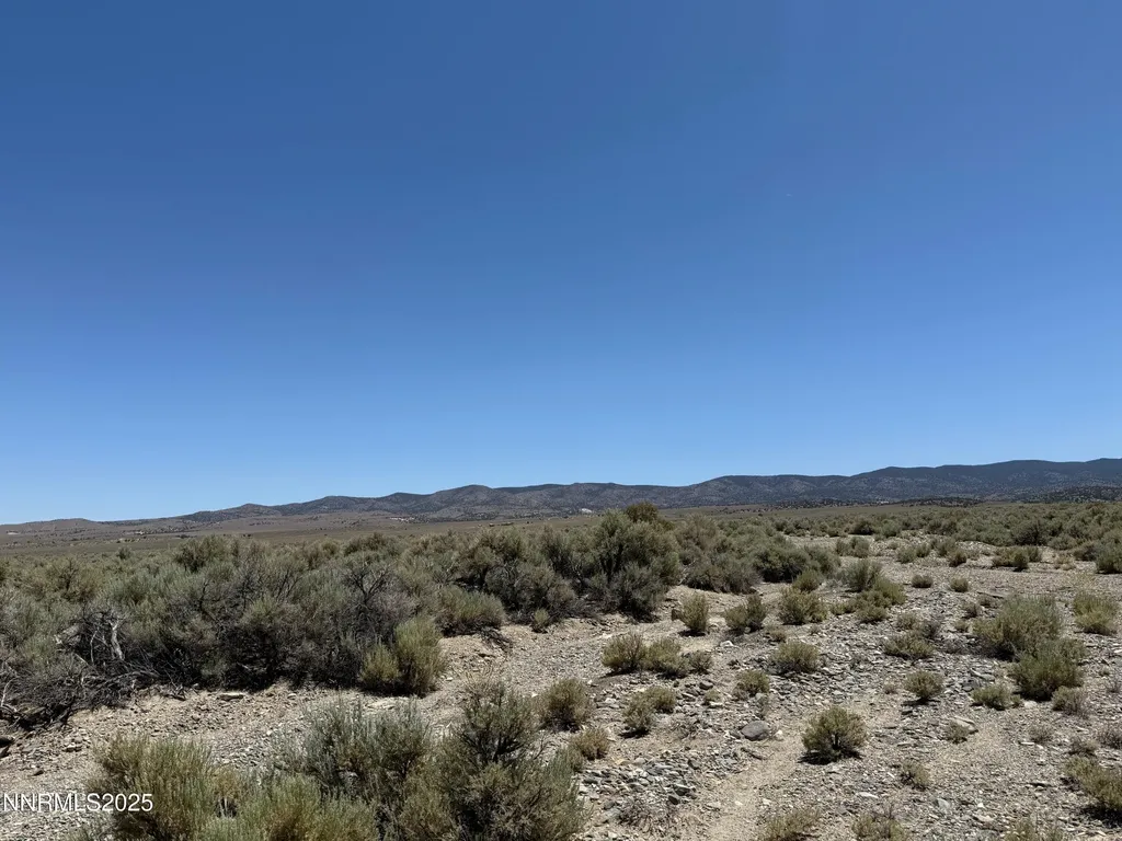 Tbd Fenceline Road Gardnerville NV 89410