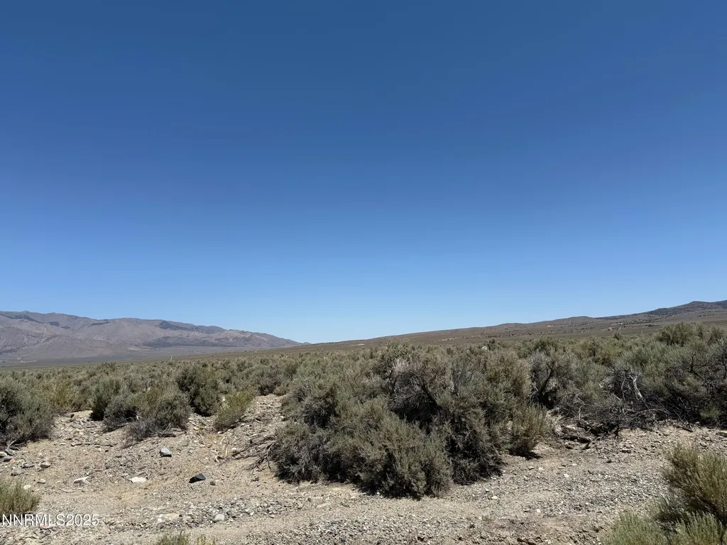 Tbd Fenceline Road Gardnerville NV 89410