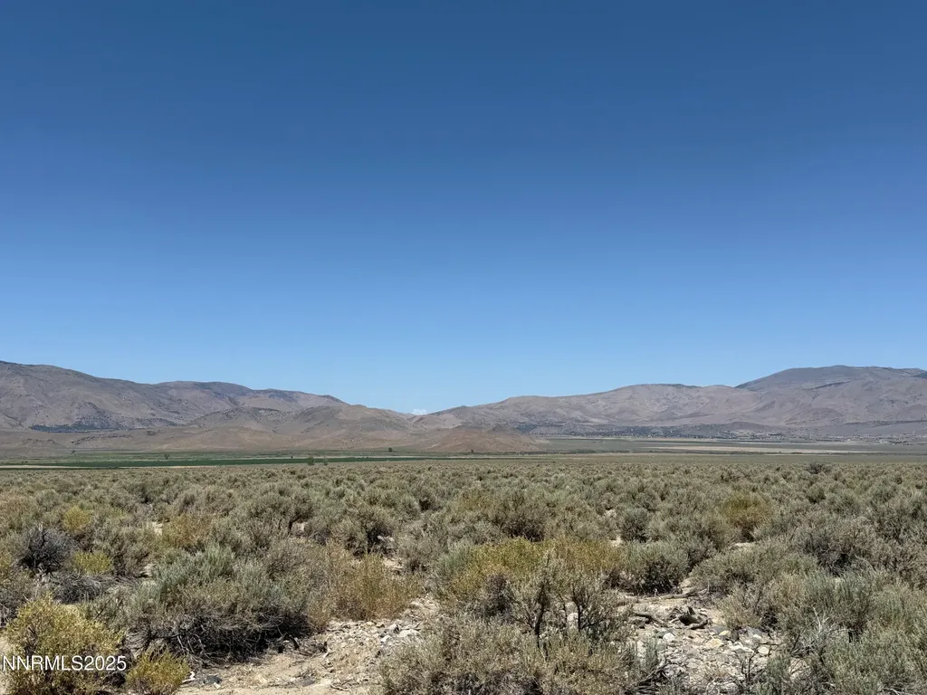 Tbd Fenceline Road Gardnerville NV 89410
