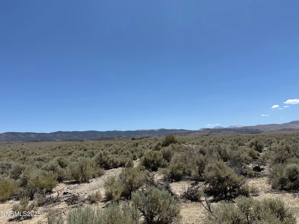Tbd Fenceline Road Gardnerville NV 89410