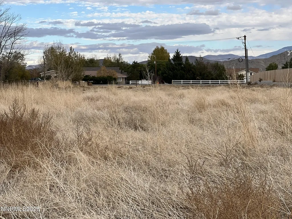 41 Nv-208 Yerington NV 89447