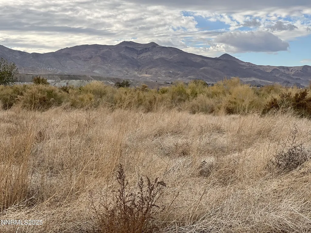 41 Nv-208 Yerington NV 89447