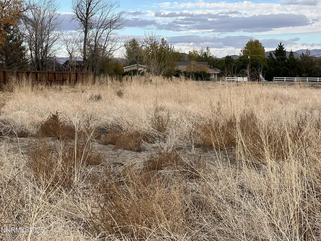 41 Nv-208 Yerington NV 89447