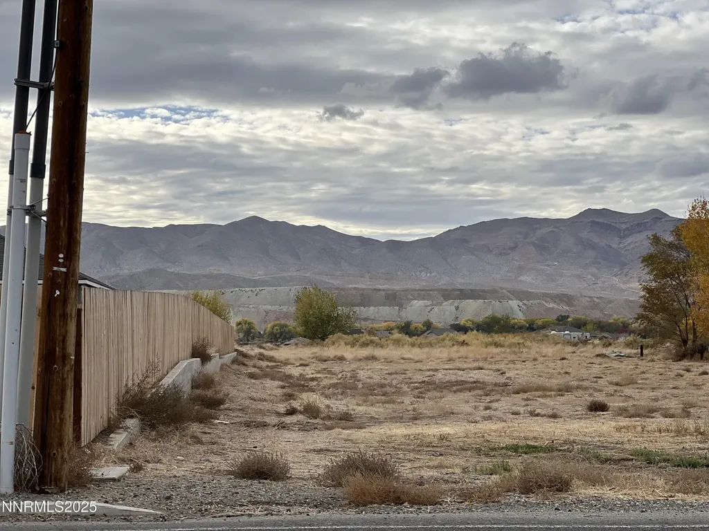 41 Nv-208 Yerington NV 89447