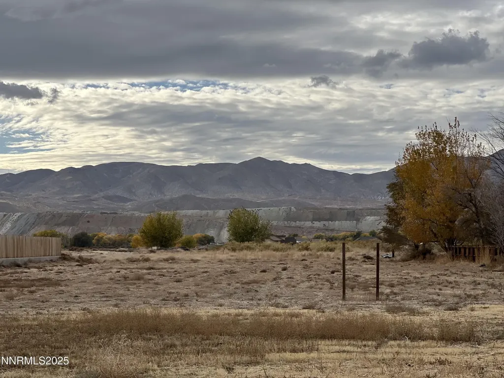 41 Nv-208 Yerington NV 89447