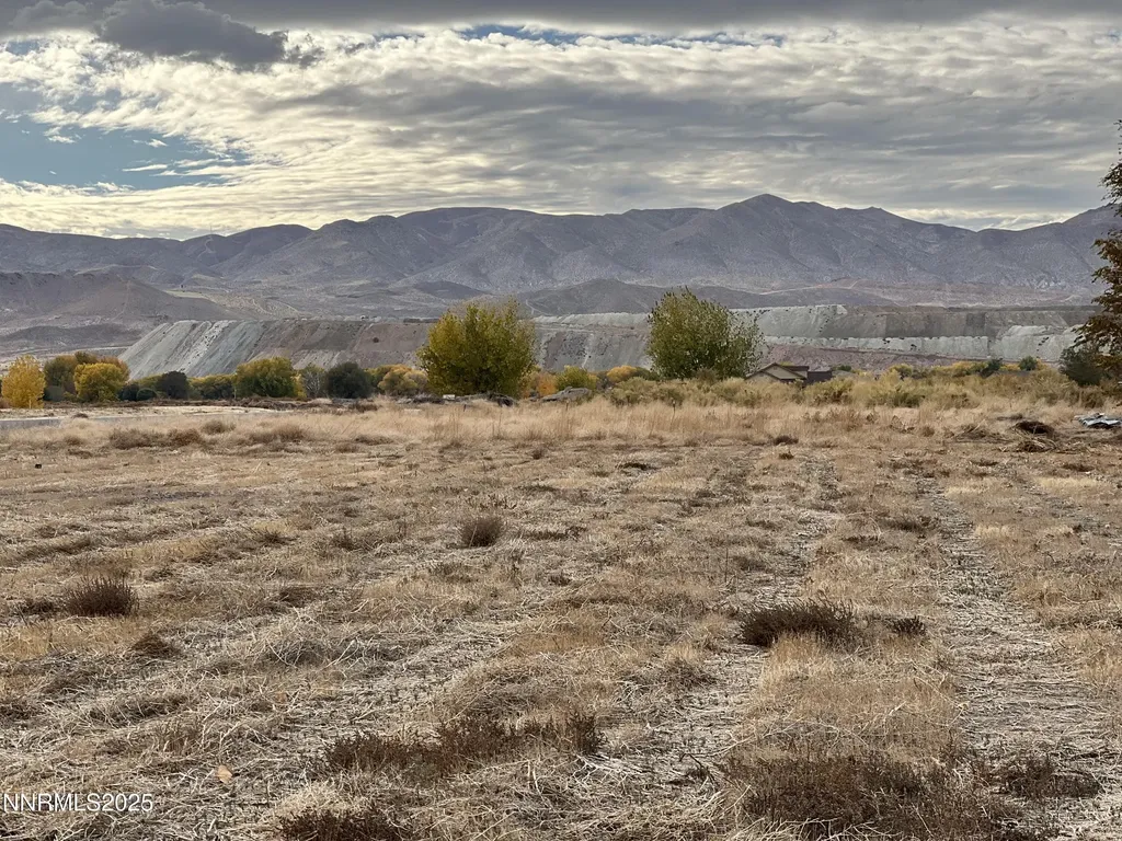 41 Nv-208 Yerington NV 89447