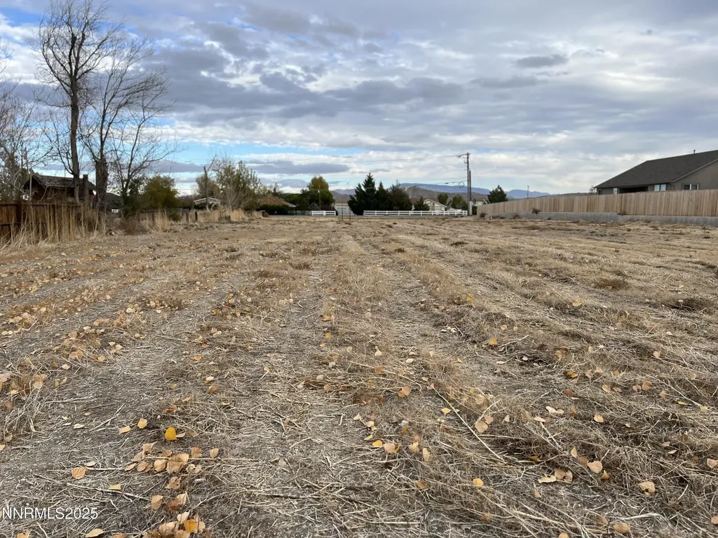 41 Nv-208 Yerington NV 89447
