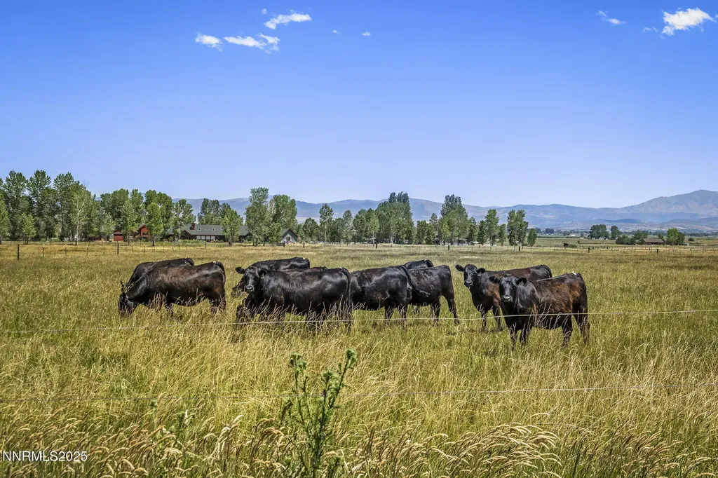 389 Mottsville Gardnerville NV 89460
