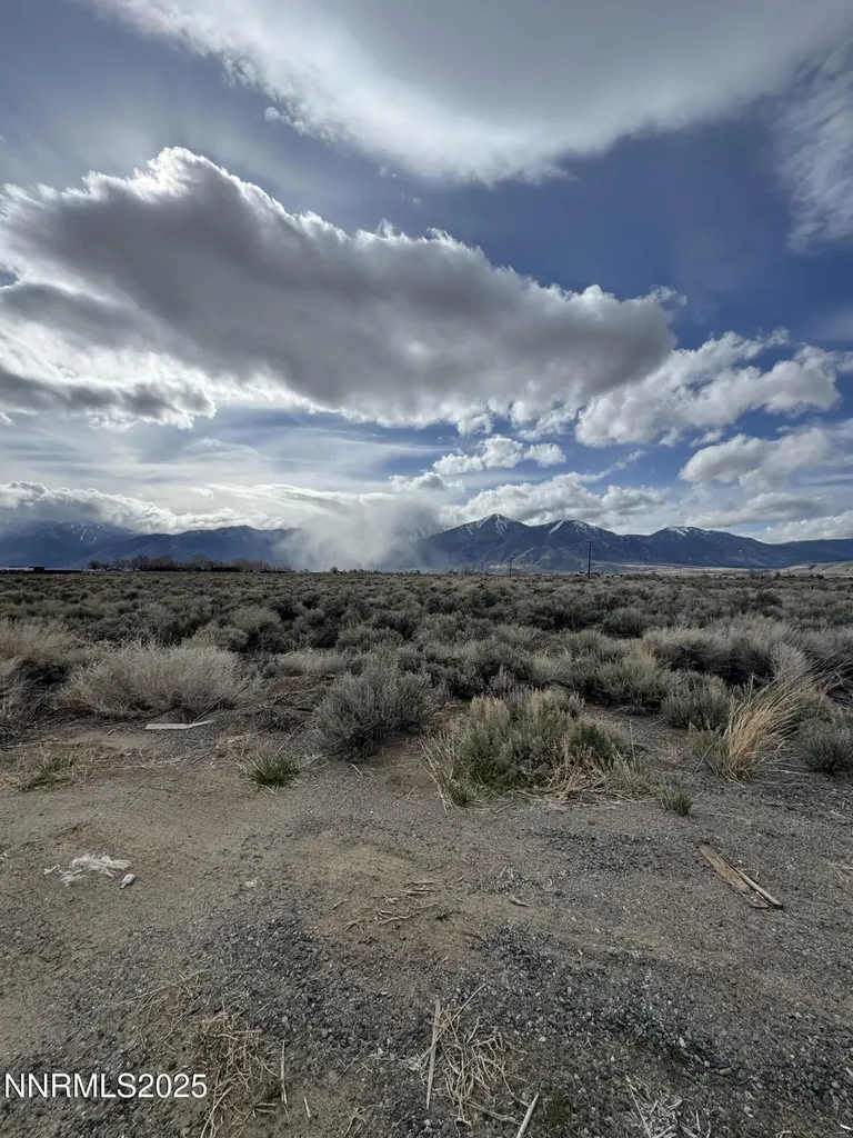 2596 Nowlin Minden NV 89423