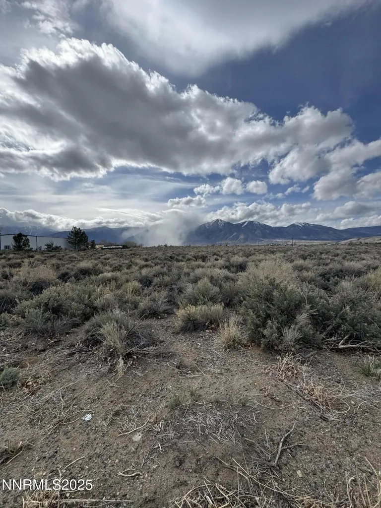 2590 Nowlin Minden NV 89423