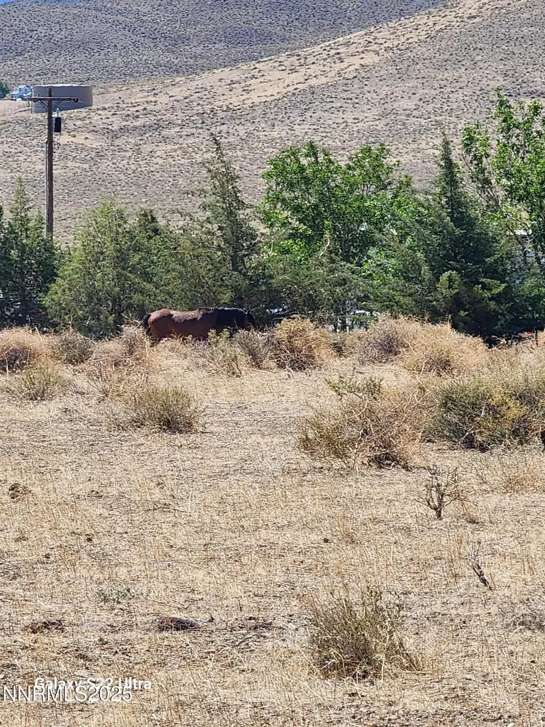 0 Glick Silver Springs NV 89429