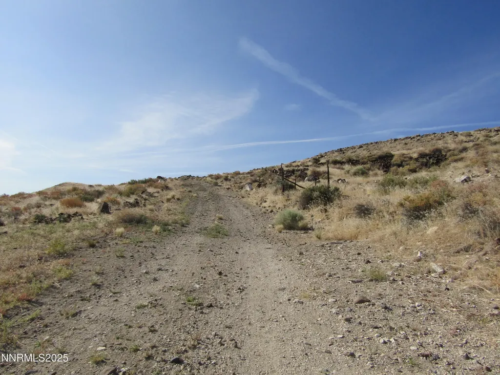 Tbd Highway 339 Yerington NV 89447