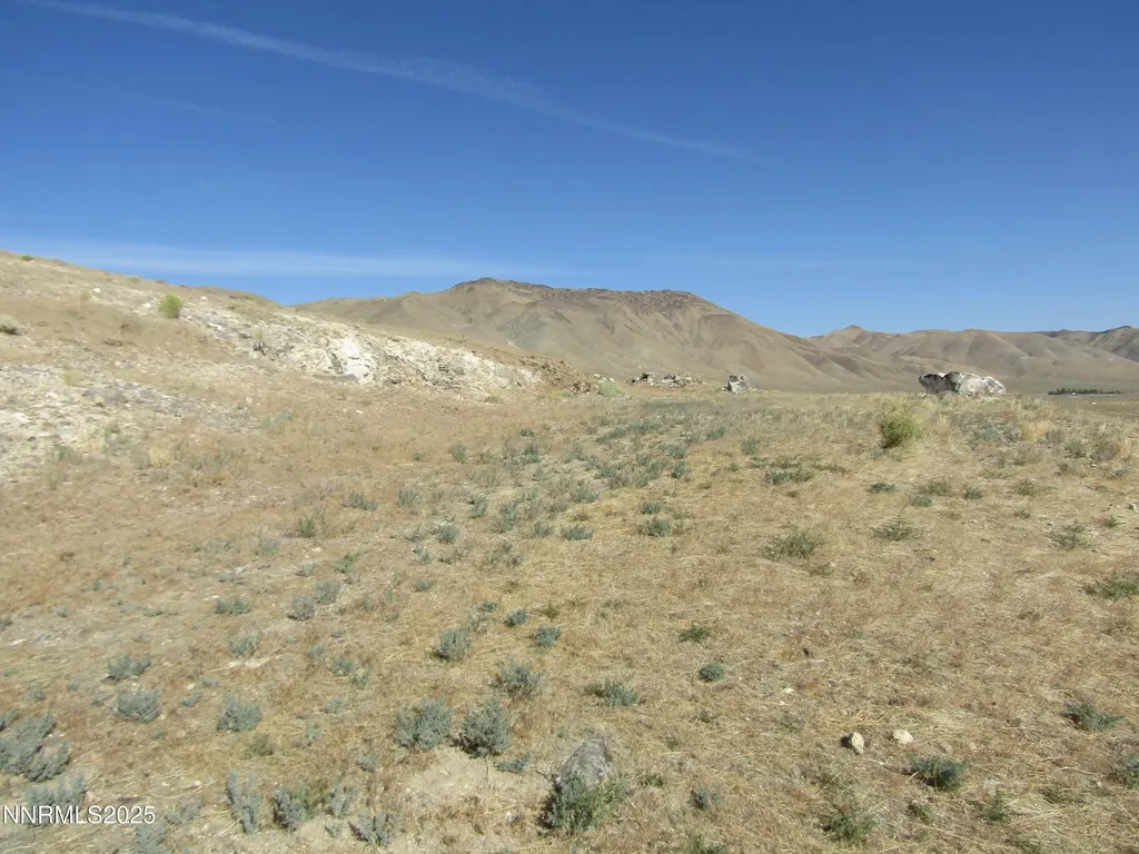 Tbd Highway 339 Yerington NV 89447