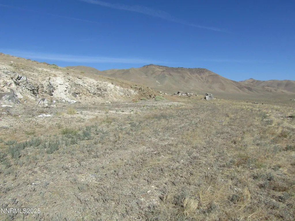 Tbd Highway 339 Yerington NV 89447