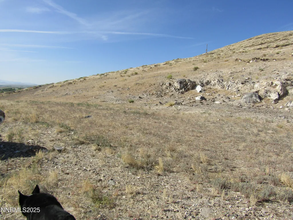 Tbd Highway 339 Yerington NV 89447