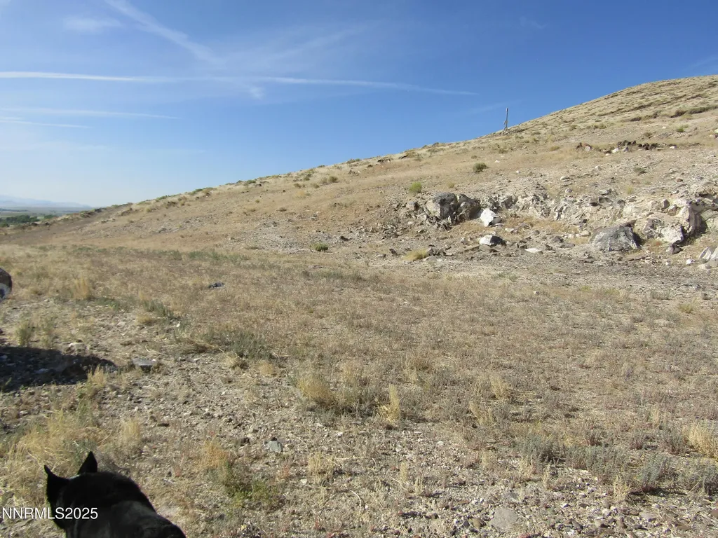 Tbd Highway 339 Yerington NV 89447