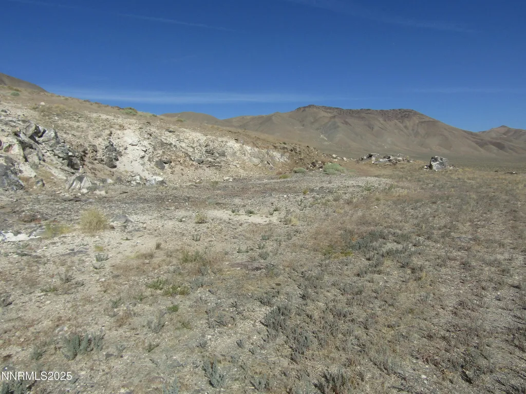 Tbd Highway 339 Yerington NV 89447