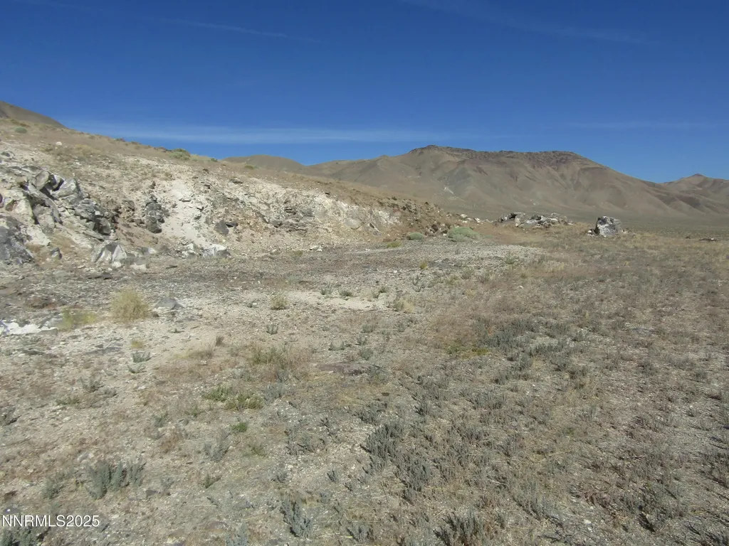 Tbd Highway 339 Yerington NV 89447