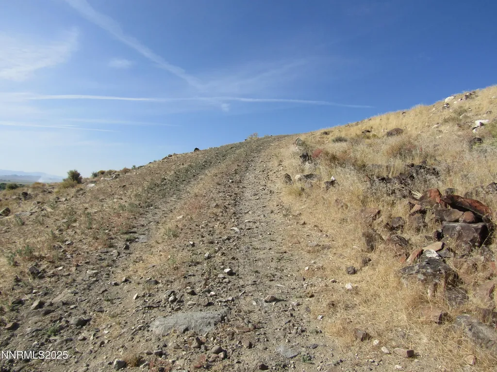 Tbd Highway 339 Yerington NV 89447