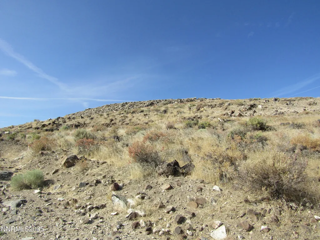 Tbd Highway 339 Yerington NV 89447