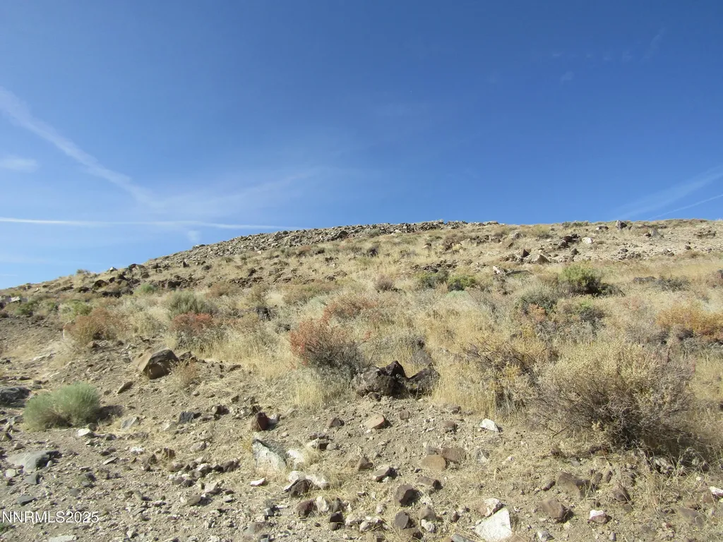 Tbd Highway 339 Yerington NV 89447