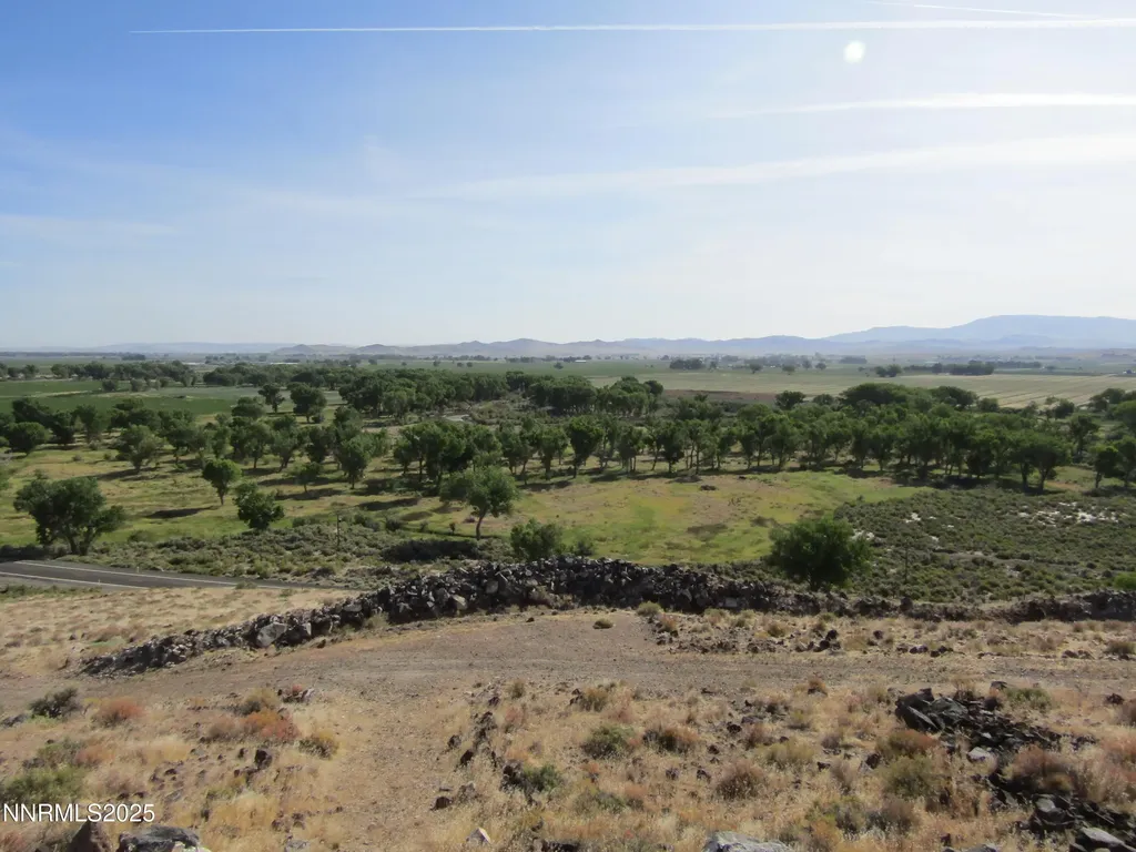 Tbd Highway 339 Yerington NV 89447