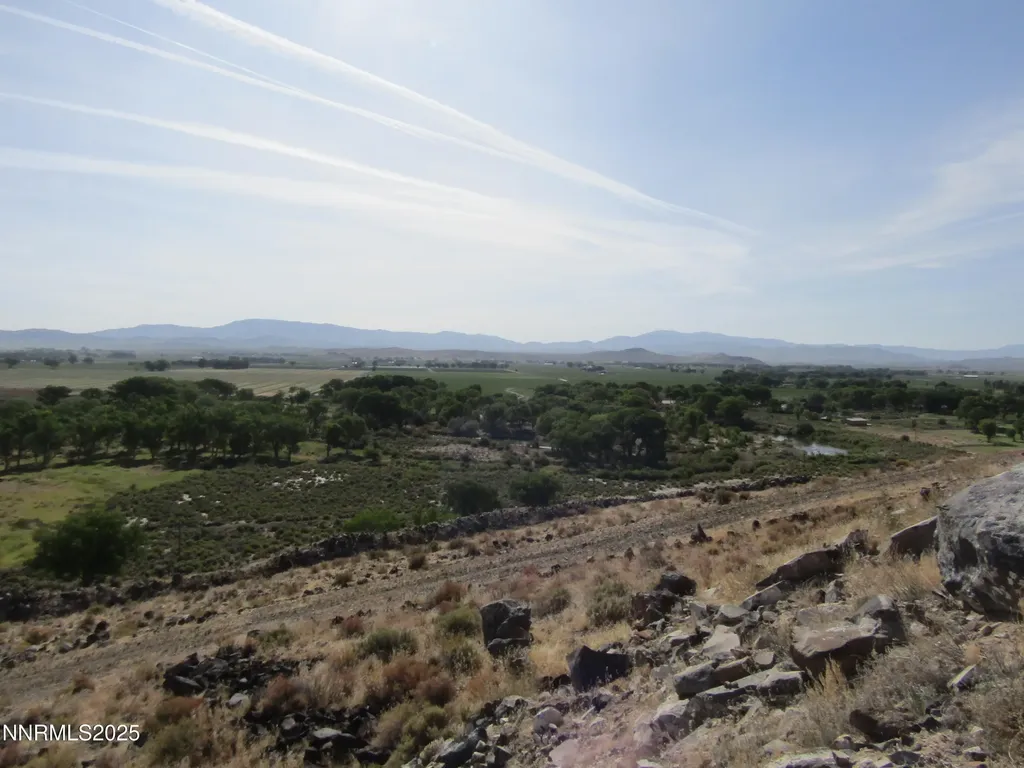 Tbd Highway 339 Yerington NV 89447