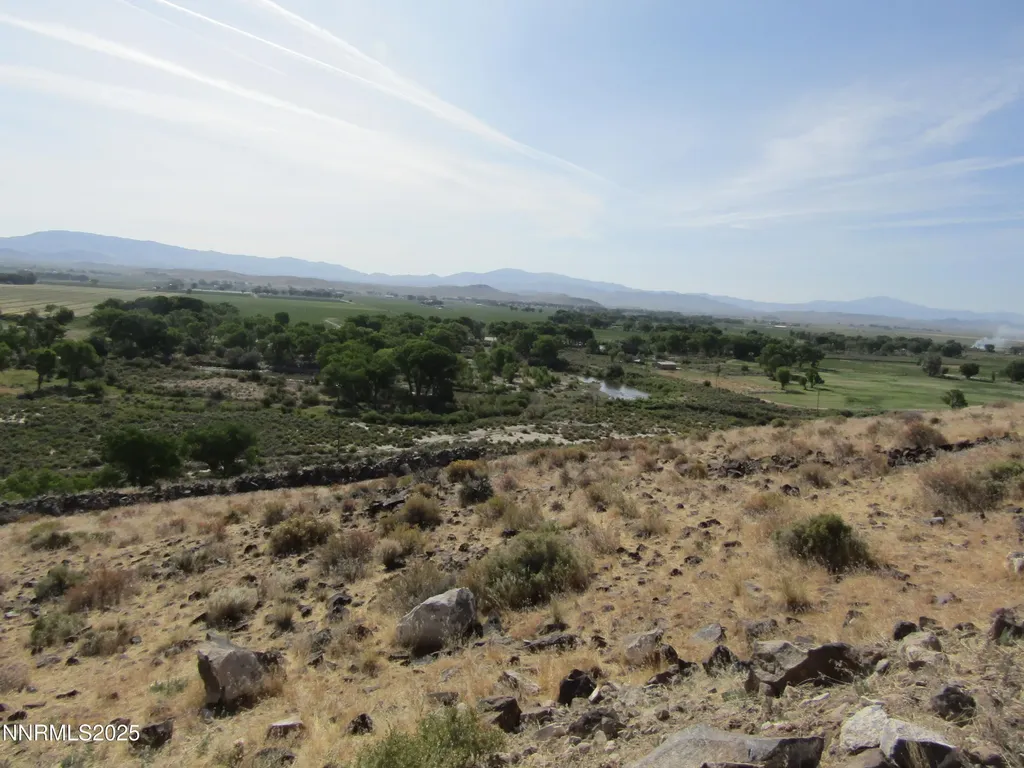 Tbd Highway 339 Yerington NV 89447