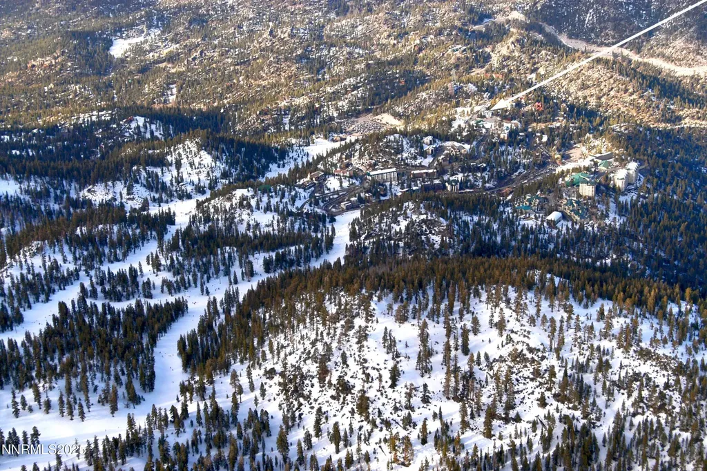 313 Tramway Stateline NV 89449