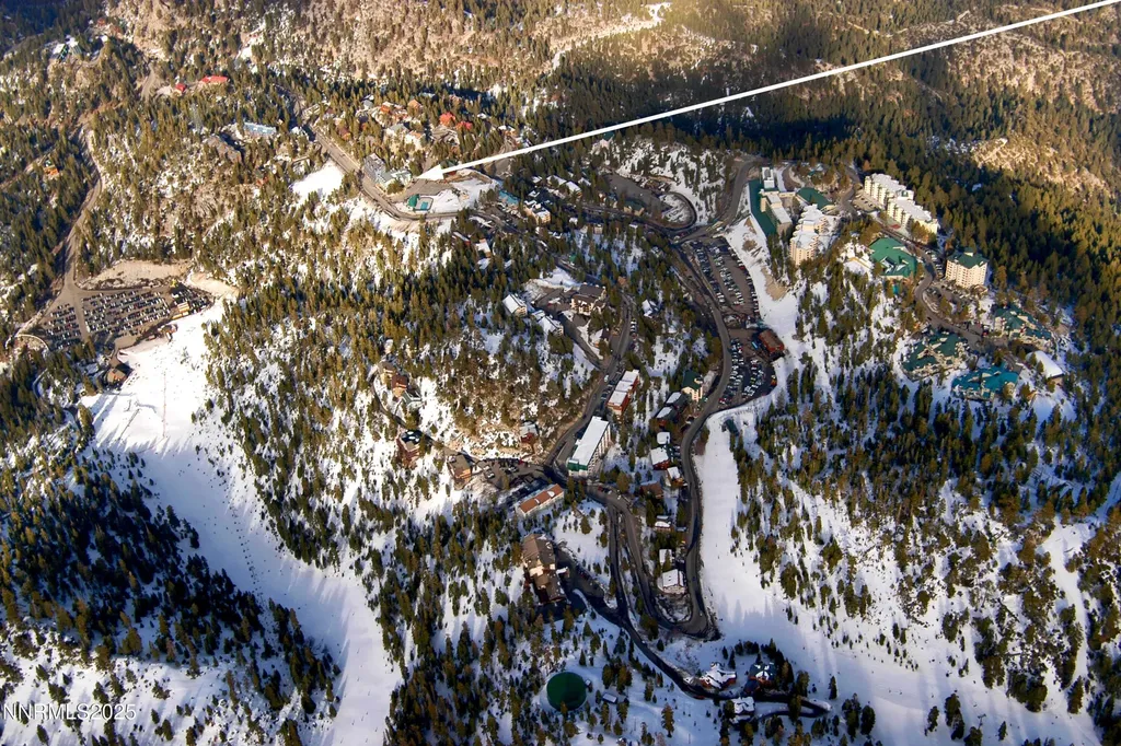 313 Tramway Stateline NV 89449