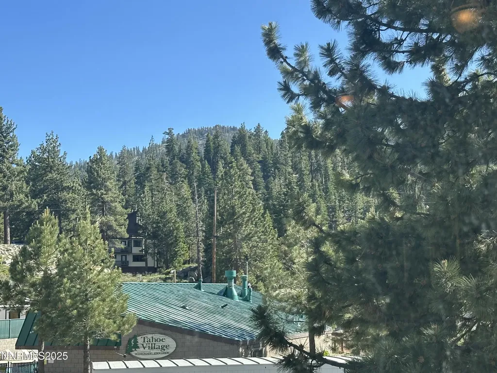 313 Tramway Stateline NV 89449