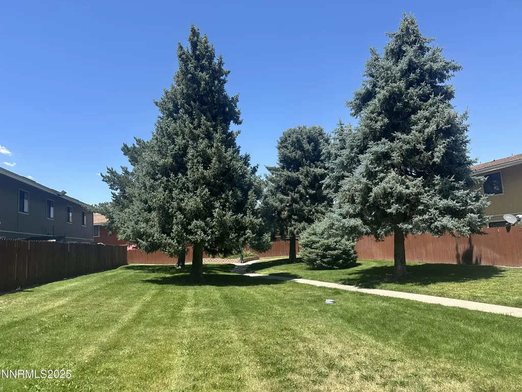 863 Nutmeg Reno NV 89502