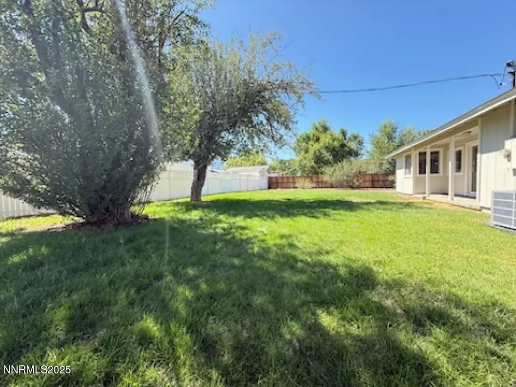 1568 County Minden NV 89423