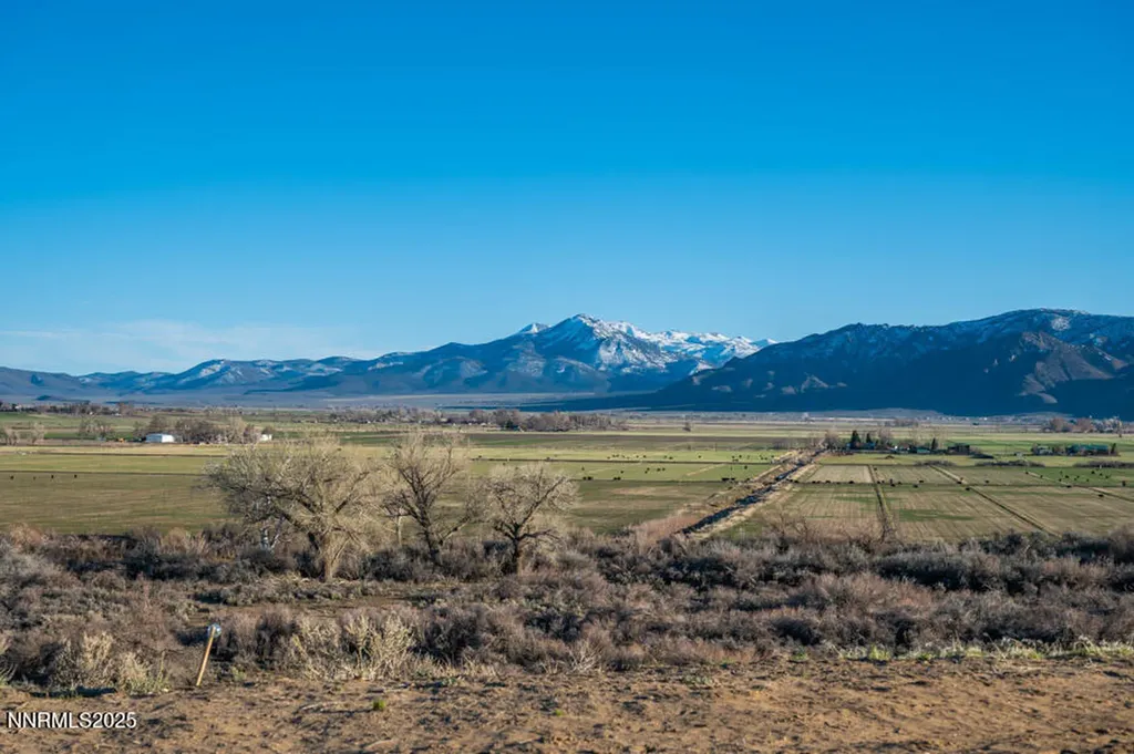 191 Artist View Wellington NV 89444