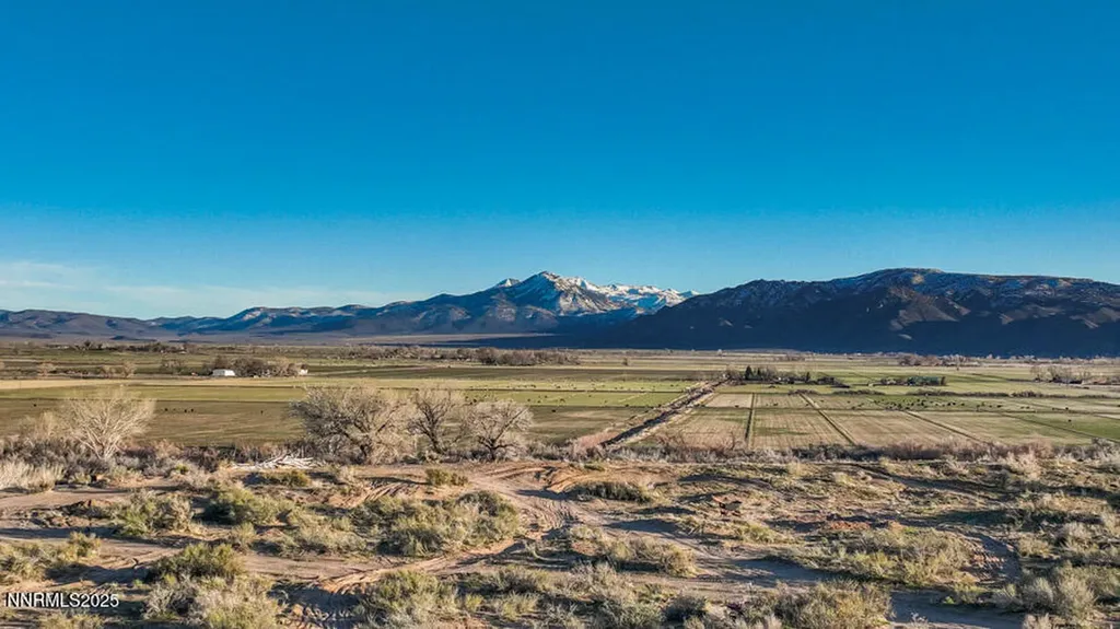 191 Artist View Wellington NV 89444