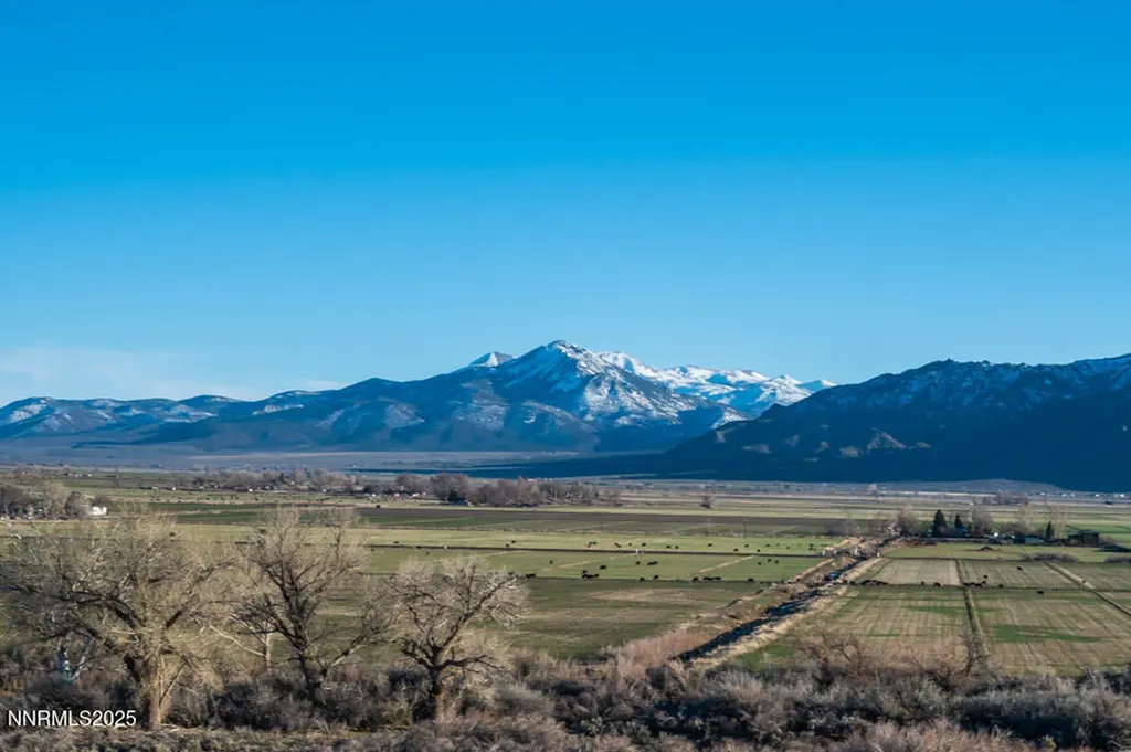 191 Artist View Wellington NV 89444