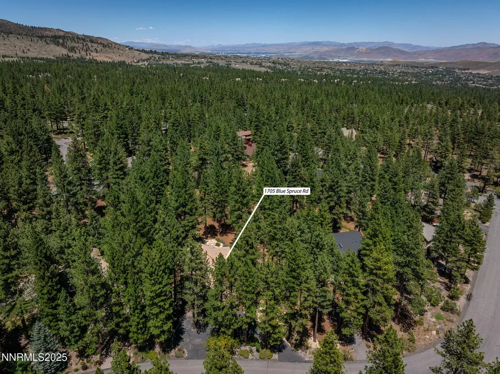 1705 Blue Spruce Reno NV 89511
