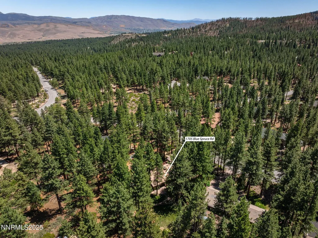 1705 Blue Spruce Reno NV 89511