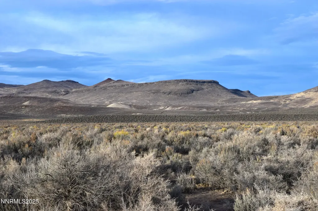 3307-3308 High Rock Road Gerlach NV 89412