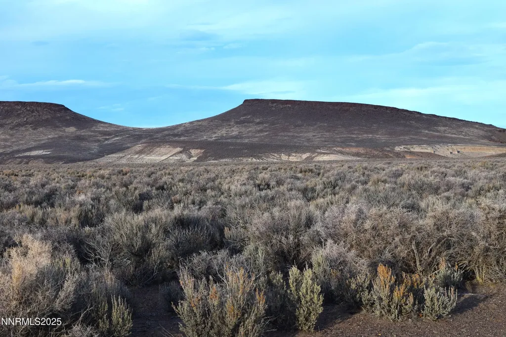 3307-3308 High Rock Road Gerlach NV 89412