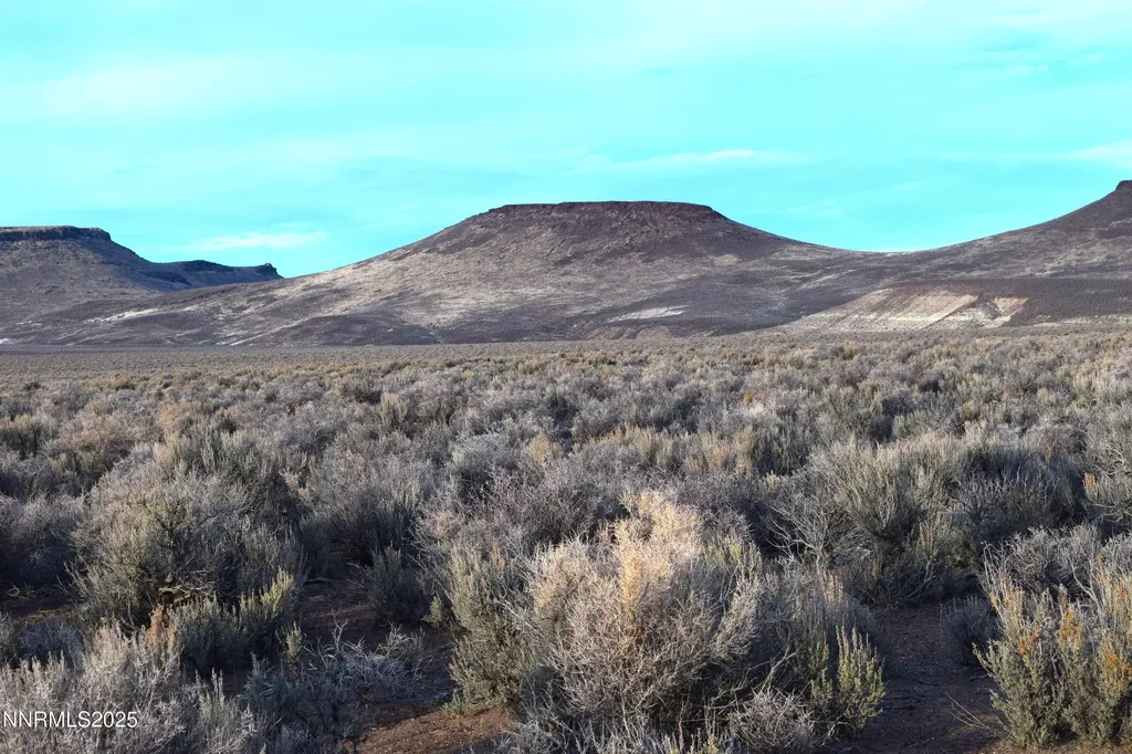 3307-3308 High Rock Road Gerlach NV 89412