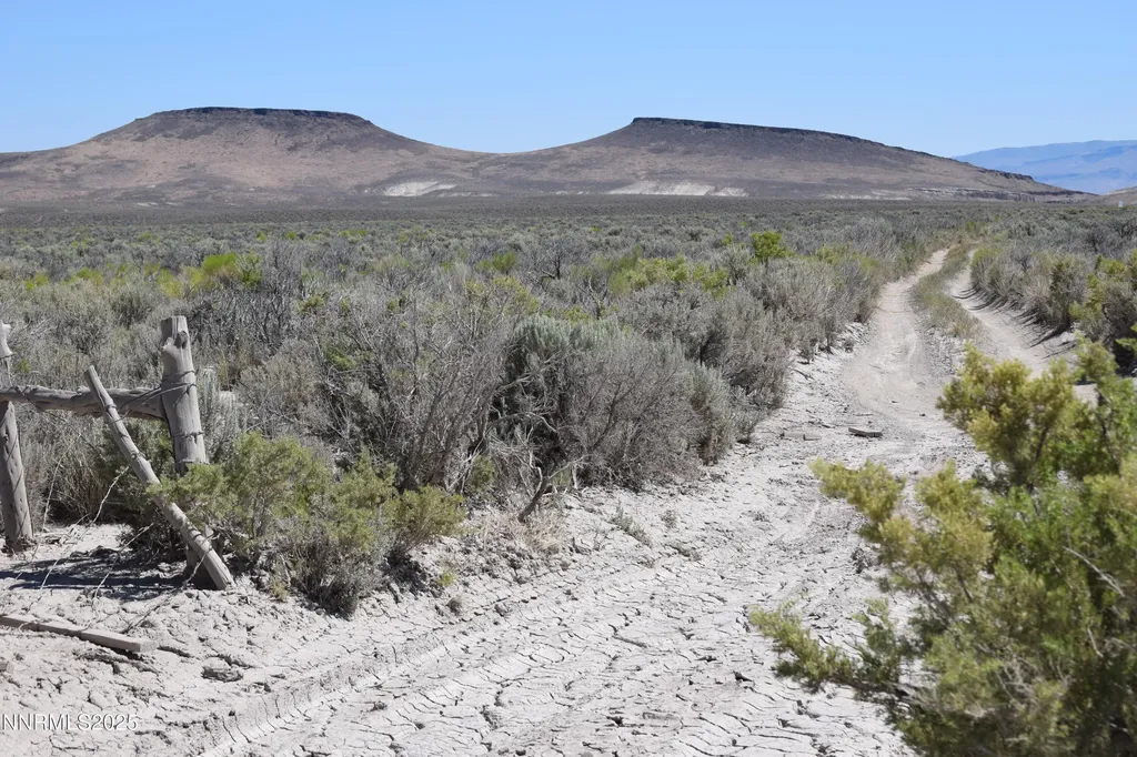 3307-3308 High Rock Road Gerlach NV 89412