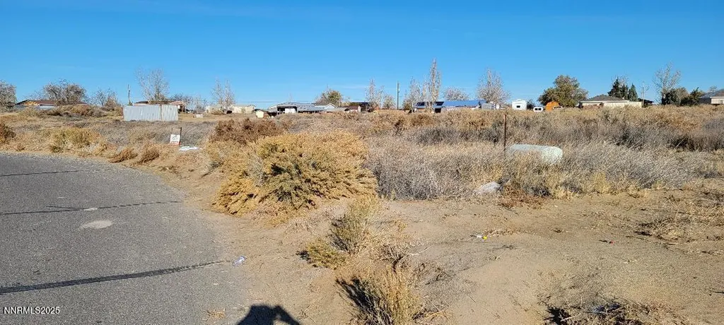1211 Jungle Fallon NV 89406
