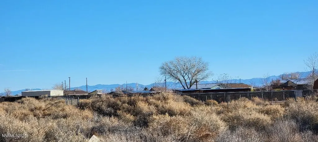 1211 Jungle Fallon NV 89406