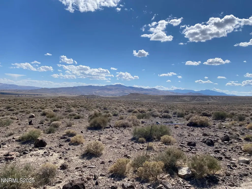 Apn 015-121-02 Silver Springs NV 89429