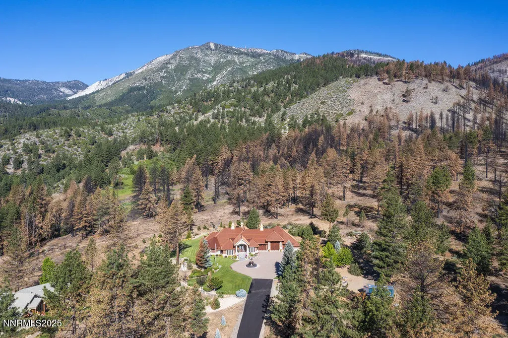 1453 Casey Ranch Washoe Valley NV 89704