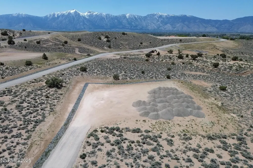 2028 Currant Gardnerville NV 89410
