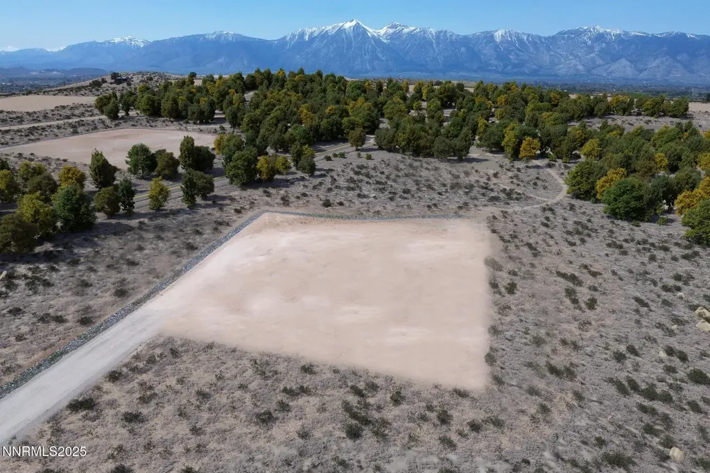 2028 Currant Gardnerville NV 89410
