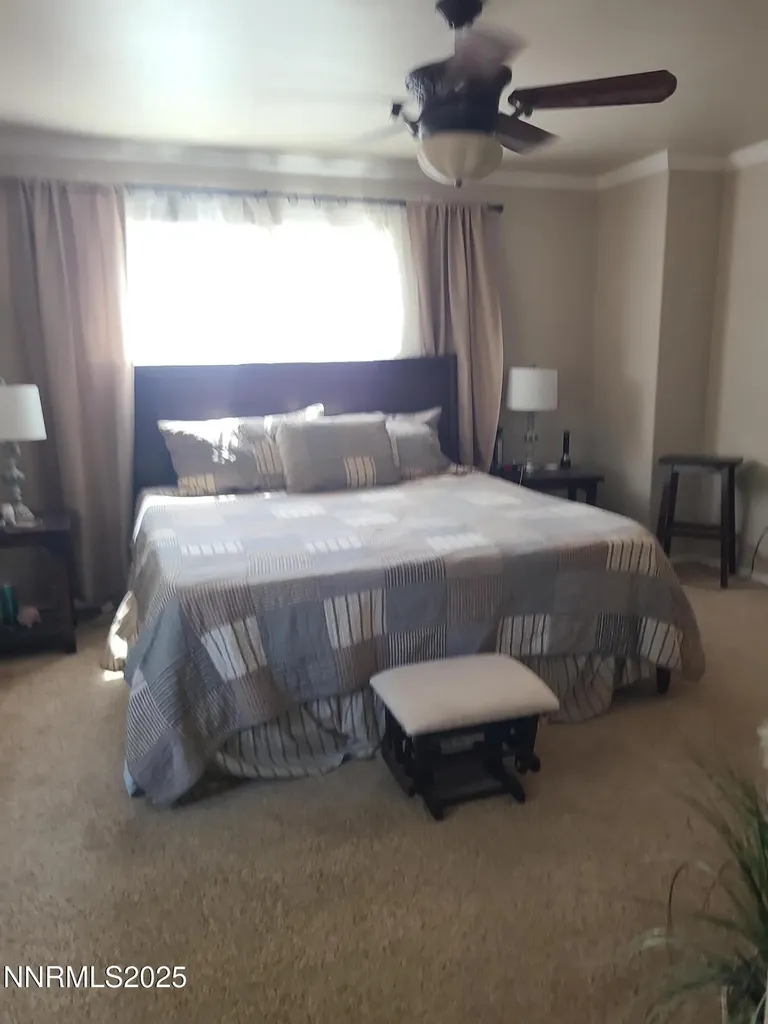 774 Copperwood Fallon NV 89406